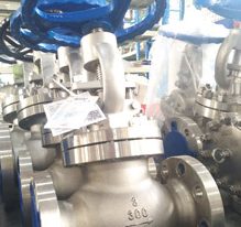 Super Austenitic Globe Valves