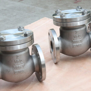 Monel Check Valves