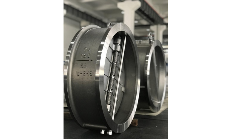 Duplex Check Valves - Image 2