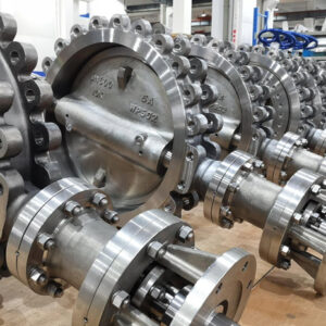 Duplex Butterfly Valves