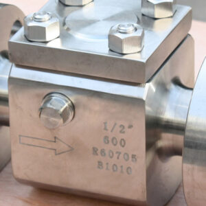 Zirconium Check Valves
