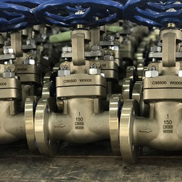 NAB C95800 Gate Valves