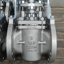 Stainless Steel Plug Valves
