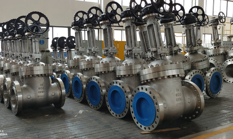 Stainless Steel Gate Valves - Imagen 2